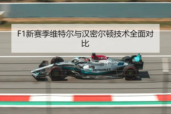 F1新赛季维特尔与汉密尔顿技术全面对比